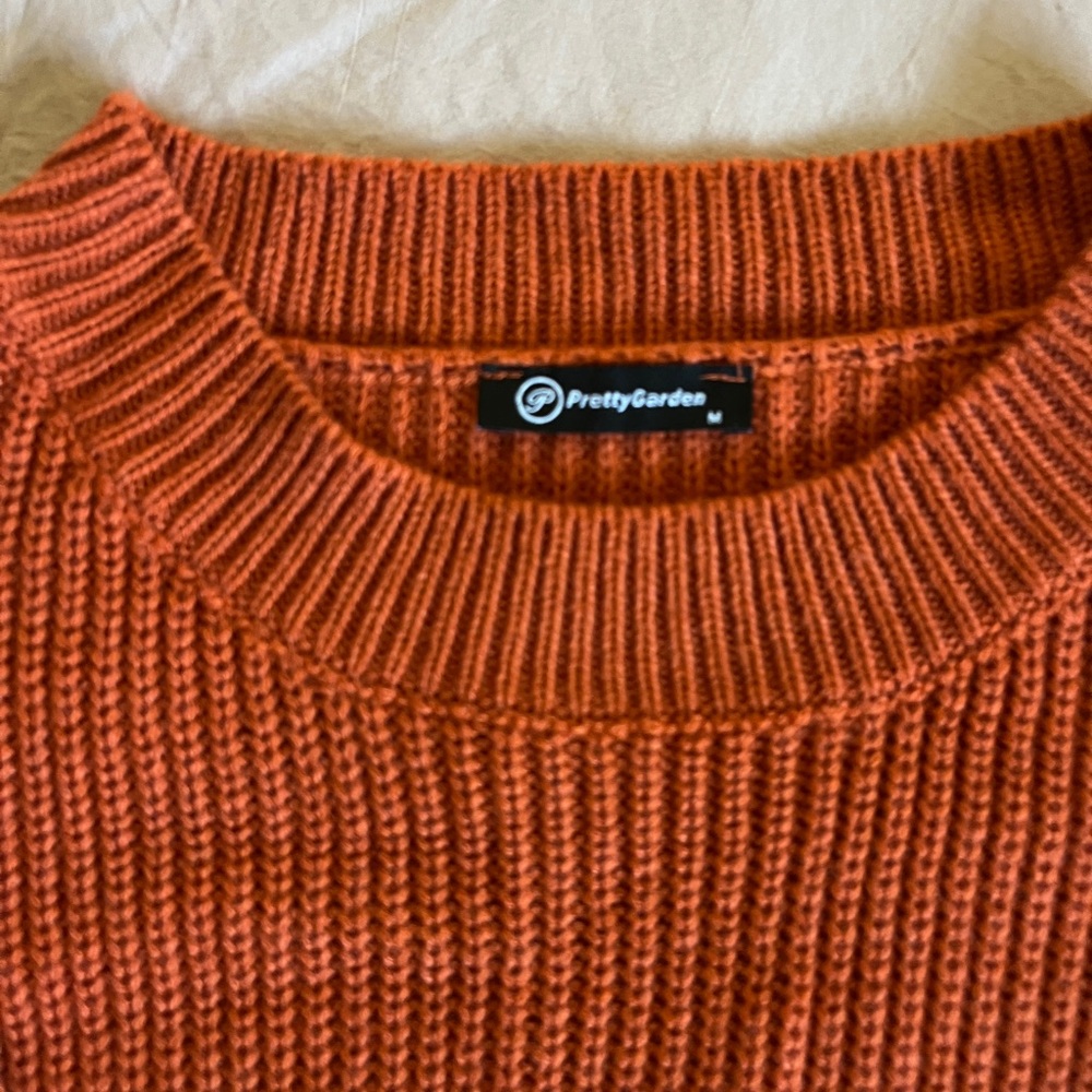 Burnt Orange Sweater - Picture 3 of 4